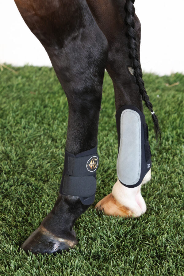 protectores para entrenamiento