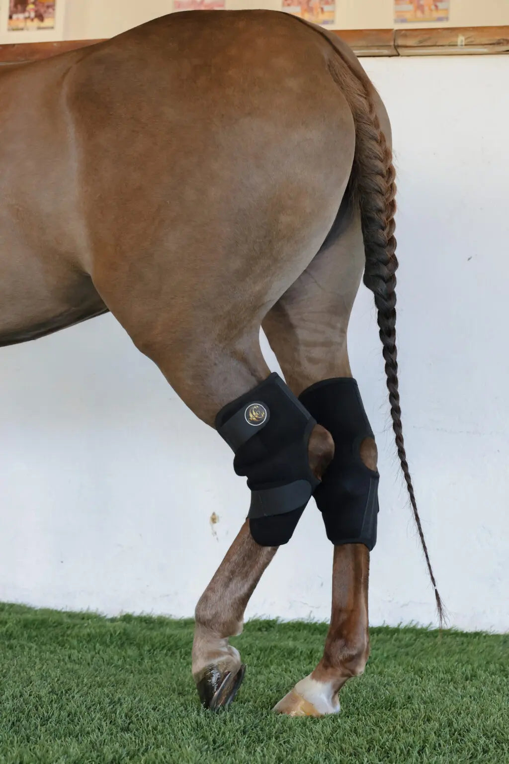 Botas de Hielo para Corvejones de Caballos – Recuperación y Prevención