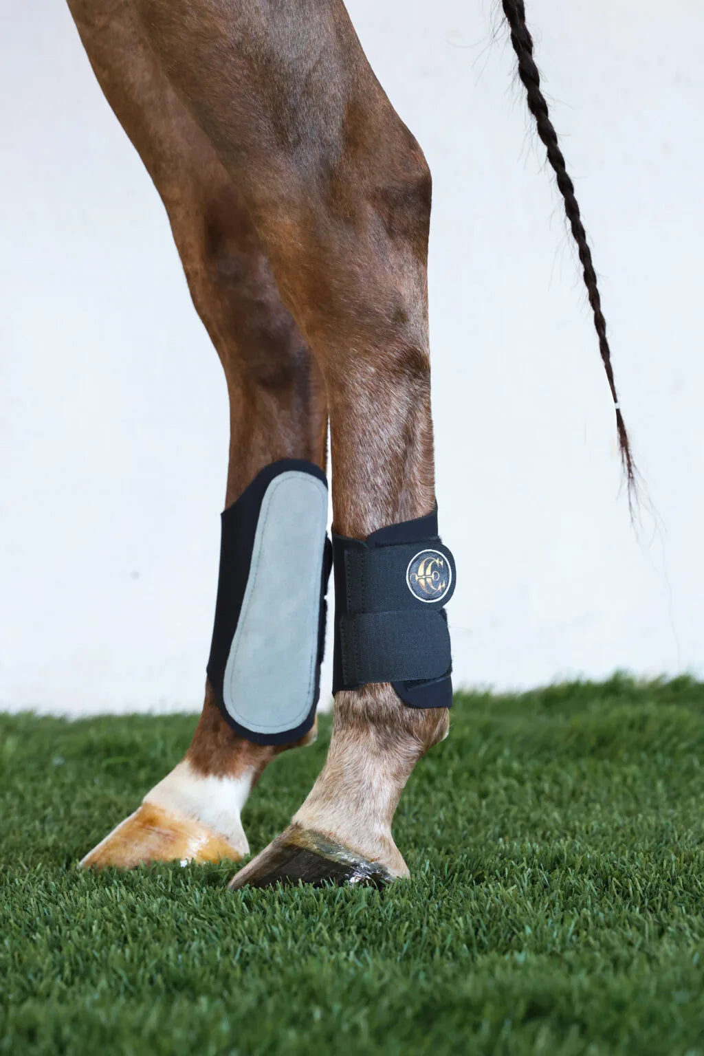 Protectores Profesionales para Entrenamiento de Caballos (Par)