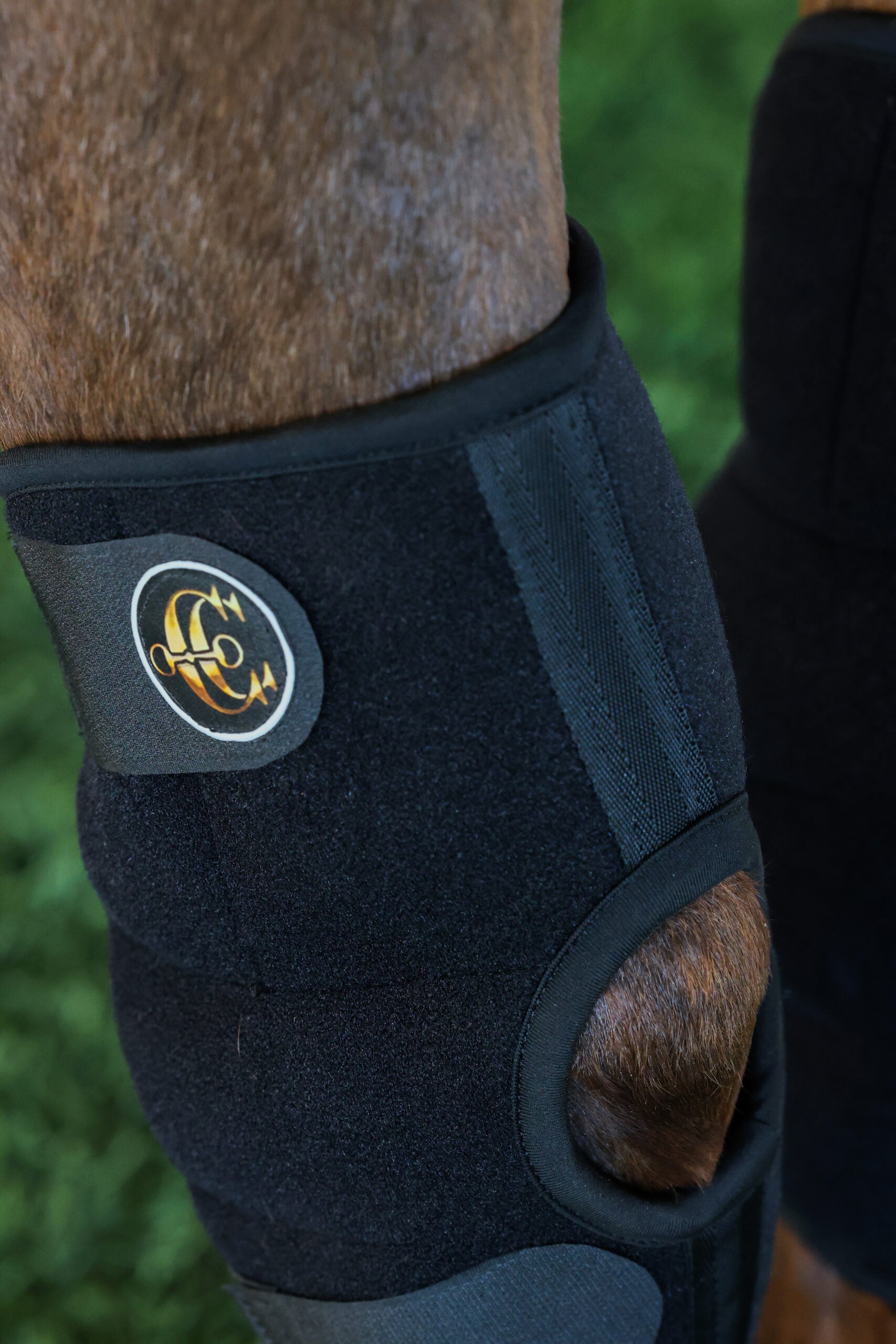 Botas de Hielo para corvejones