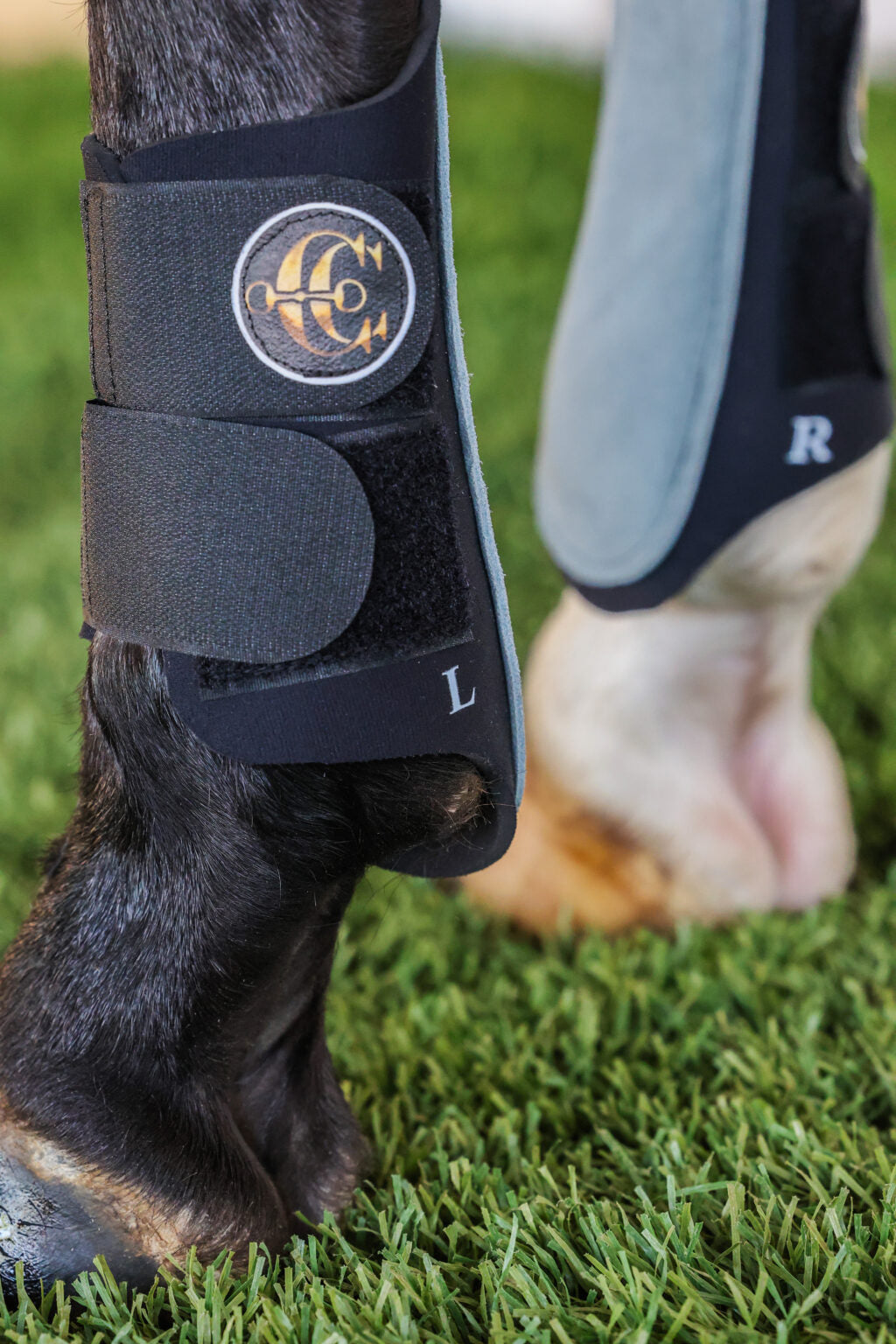 protectores para entrenamiento