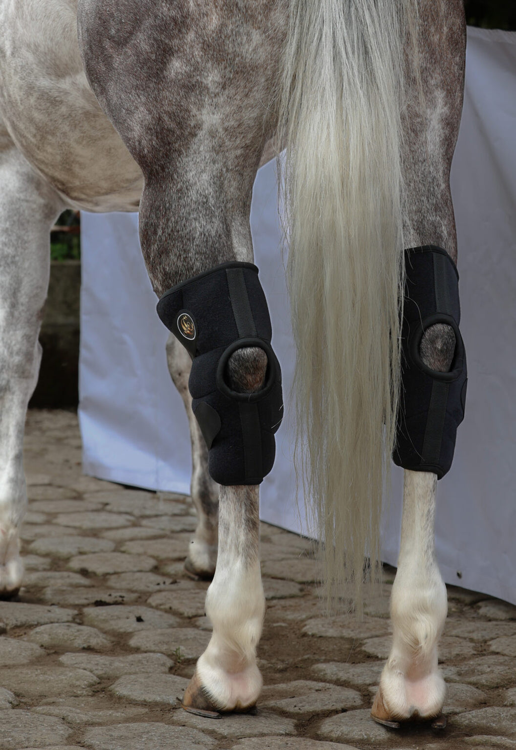 Botas de Hielo para corvejones