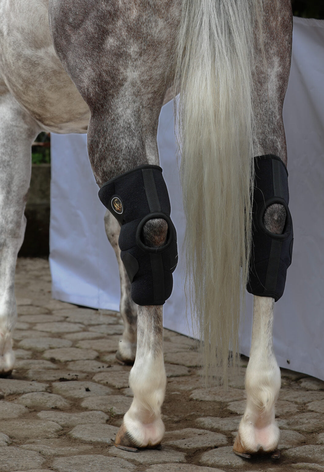 Botas de Hielo para corvejones