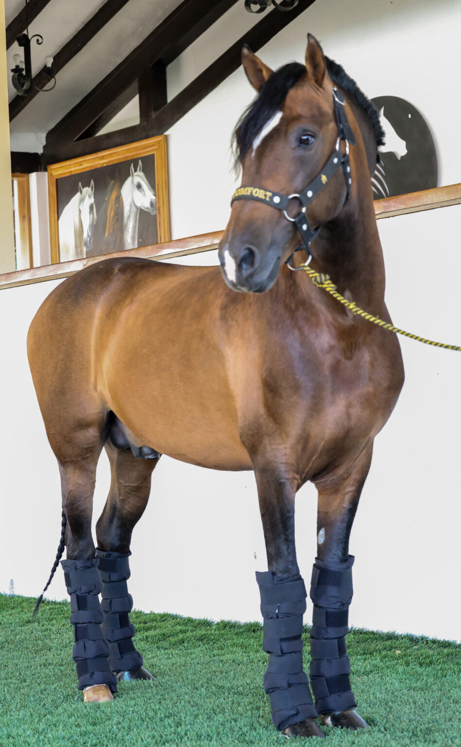 Vendas de Hielo (Par)