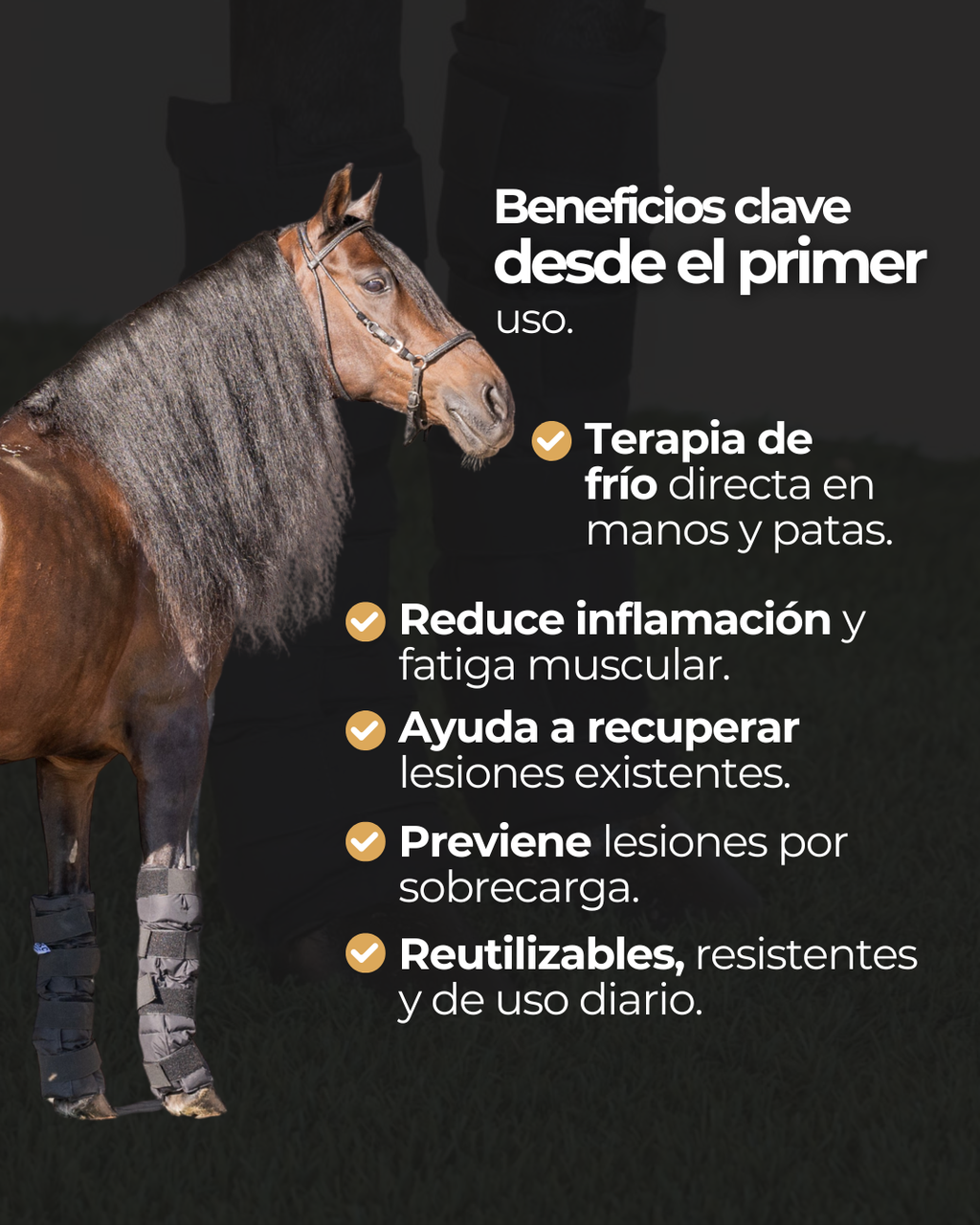 Vendas de Hielo para Caballos (Par) – Terapia de Frío