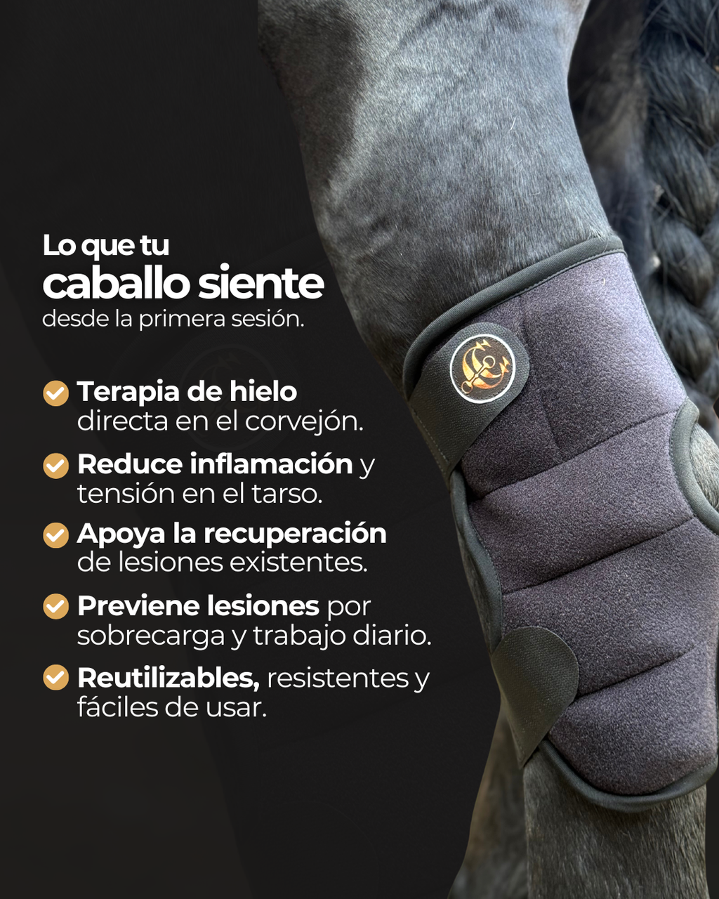 Botas de Hielo para Corvejones de Caballos – Recuperación y Prevención