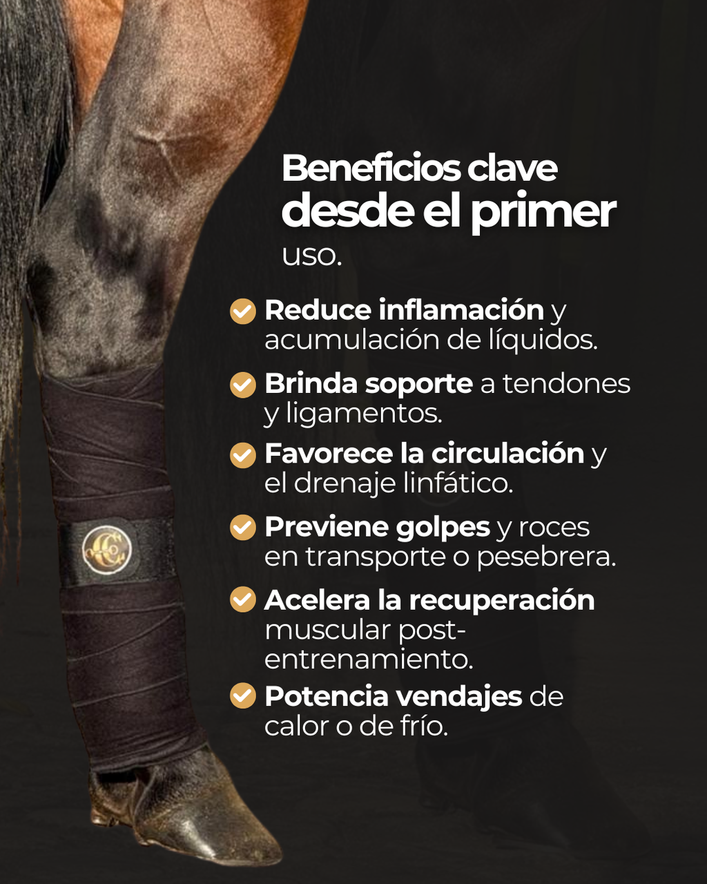 Vendaje de Descanso para Caballos (Par) – Soporte y Recuperación