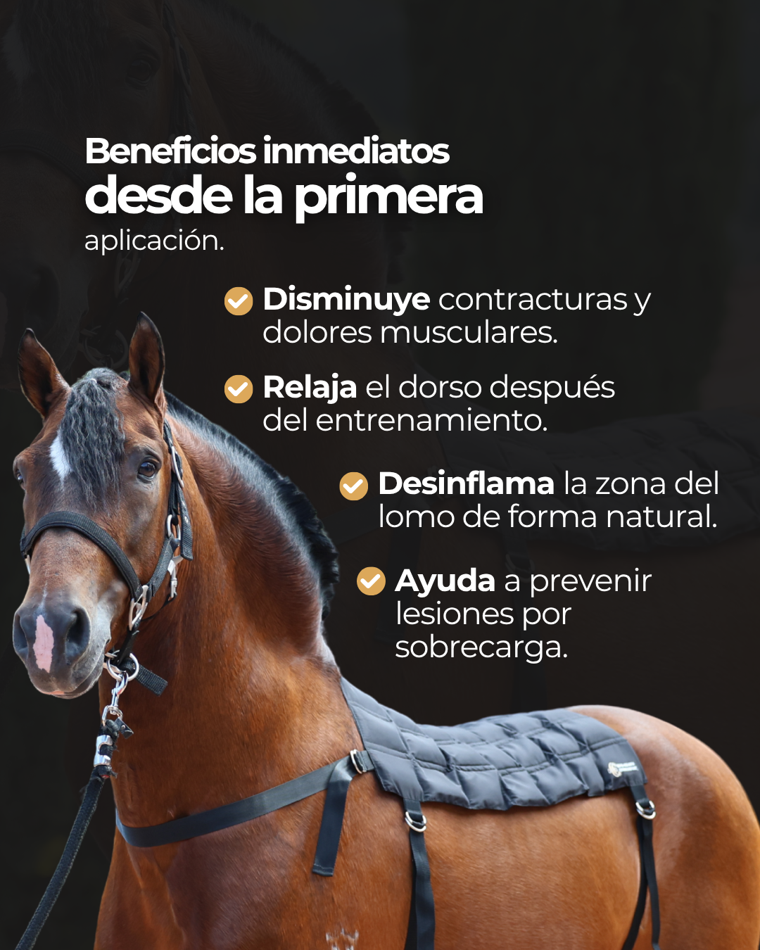 Manta de Hielo para Caballos – Alto Rendimiento y Mayor Recuperación