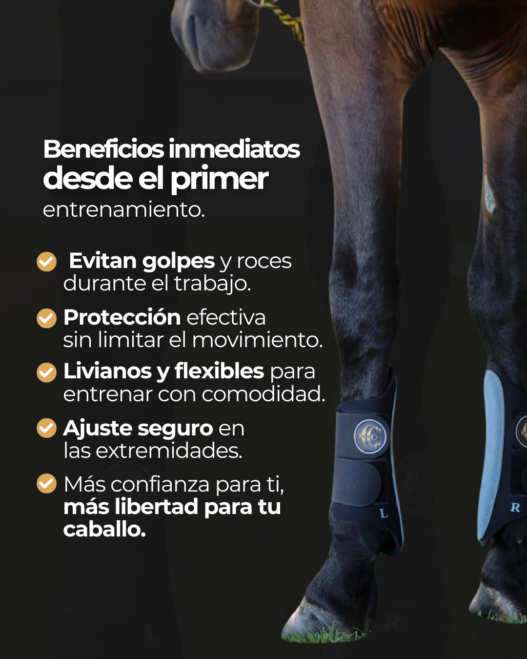 Protectores Profesionales para Entrenamiento de Caballos (Par)