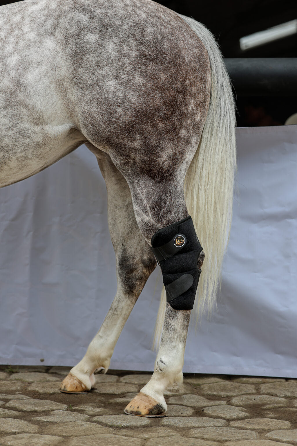 Botas de Hielo para corvejones