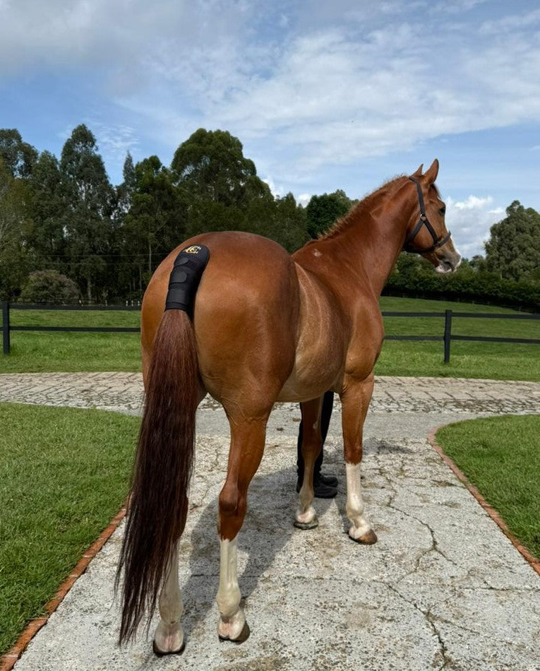 Protector de Cola para Caballos – Transporte y Entrenamiento