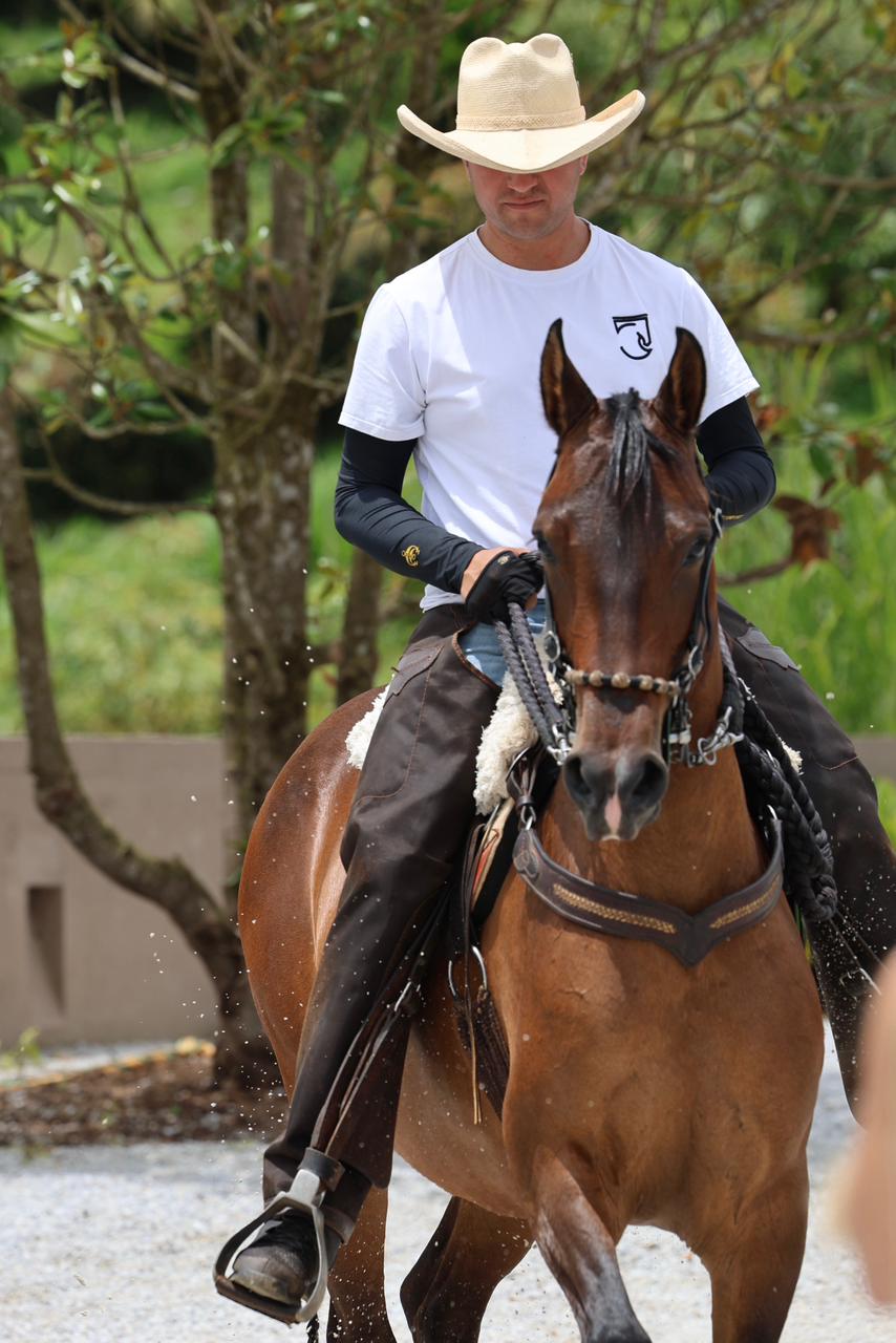 Mangas de Protección para Jinetes – Uso Profesional