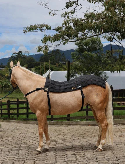 Manta de Hielo Pro Max para Caballos