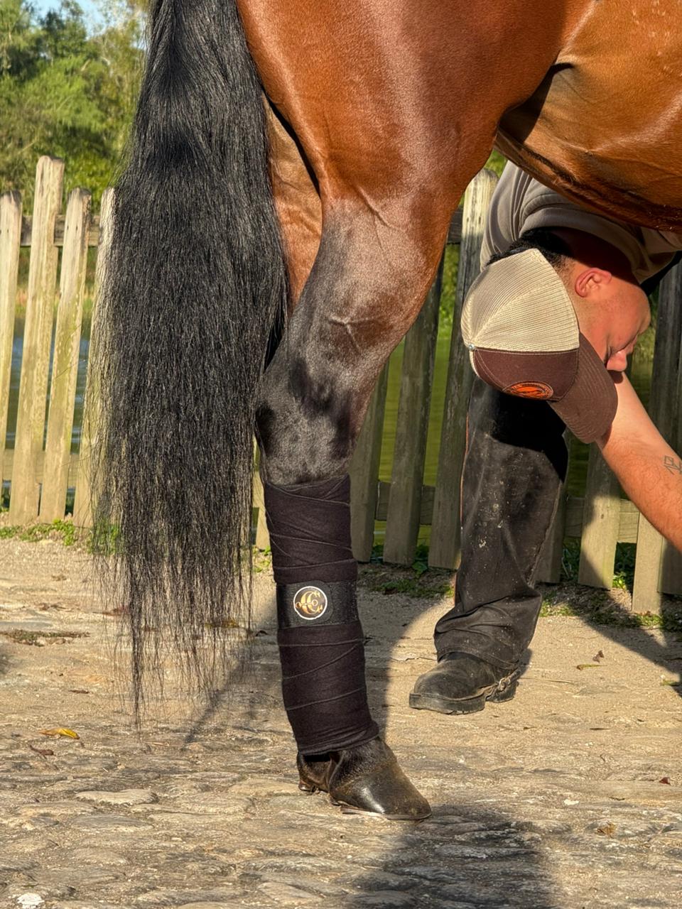 Vendajes de Descanso para Caballos (Par) – Soporte y Recuperación